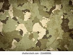 Image result for Army Texture Background