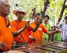 Image result for Marimba De Costa Rica