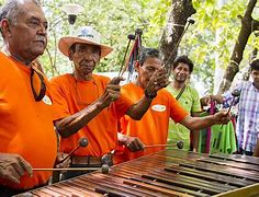 Image result for Costa Rican Marimba