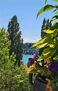 Image result for Lake Constance Mainau