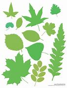 Image result for Free Printable Green Leaves