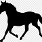 Image result for Riding Fast Horse with Sombraro On