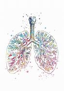 Image result for Lung Asthetic