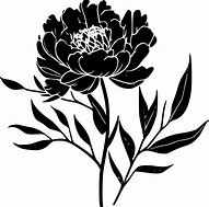 Image result for Peony Vector