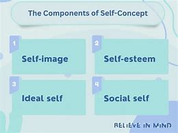 Image result for 3 Components of Self Concept