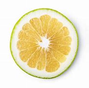 Image result for Citrust Triangle Grapefruit