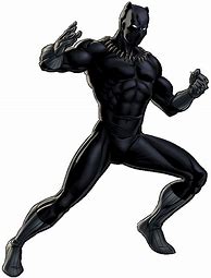 Image result for Marvel Heroes Black Panther