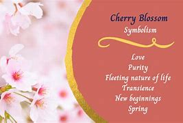 Image result for What IA Cherry Blossom Flower