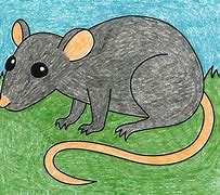 Image result for Easy to Draw Rat