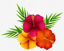 Image result for Tropical Flower Clip Art Black and White