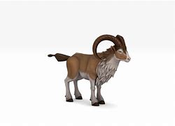 Image result for Cartooon 3D Fluffy Goat