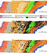 Image result for Tennessee Geologic Map