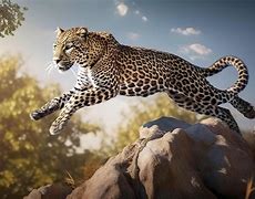 Image result for Leopard Jumps Over