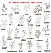 Image result for Best Herbs for Lowering Cholesterol