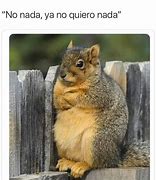 Image result for Ya No Quiero NADA Meme