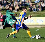 Image result for Vienna Football Clubs