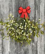 Image result for Mistletoe Story