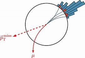 Image result for Transverse Plane