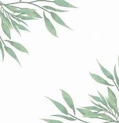 Image result for Watercolour Leaf Border