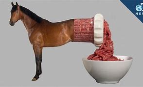 Image result for Horse Meat