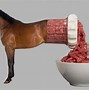 Image result for Horse Meat