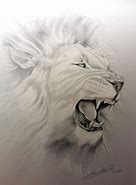 Image result for Simple Lion Drawing Pencil