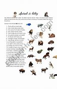 Image result for hiding animals