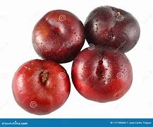 Image result for Black Plum Fruit