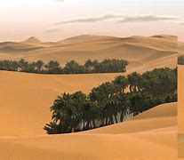 Image result for Desert De Sahara