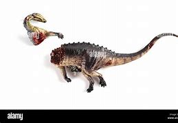 Image result for Dinosaur Died with Bones