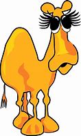 Image result for Hump Day Camel Cartoon Clip Art