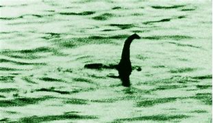 Image result for Loch Ness Monster Fossil