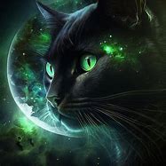 Image result for Green and Black Cat