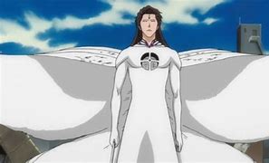 Image result for Aizen Mog