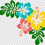 Image result for Clip Art Floral Lei