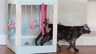 Image result for DIY Cat Toys Simple