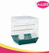 Image result for Ice Bird Cage