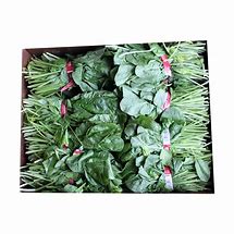 Image result for Spinach Bunch