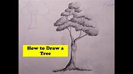 Image result for Tree Pencil Clear Sketch