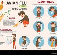 Image result for What Is the Bird Flu Virus