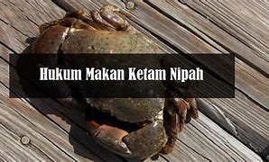 Image result for Ketam Dua Alam