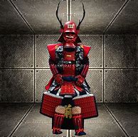 Image result for Samurai Suit