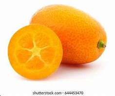 Image result for Kumquat Fruit White Background