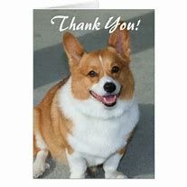 Image result for Thank You Corgi Images