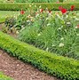 Image result for Front Porch with Walkway Fence