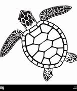 Image result for Turtle Graphic Design