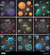 Image result for Different Kinds of Viruses