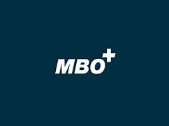 Image result for MBO Goals