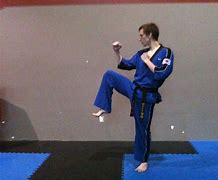 Image result for Taekwondo Kick Cross