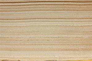 Image result for Book Side Texture